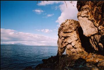 ROCKS ON SURFACE