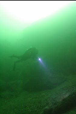 AT BASE OF WALL STILL