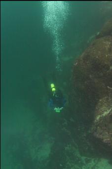 SWIMMING BACK ALONG SHALLOWER PART OF WALL