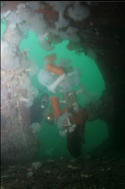 BEHIND RUDDER AND PROPELLER