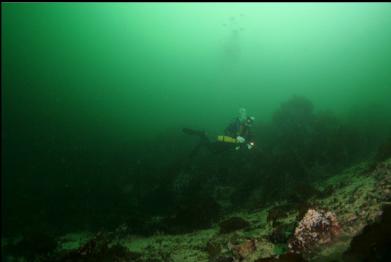 30 feet deep