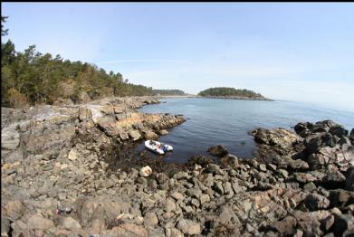 looking across the bay