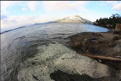 beach and small mountain on Saltspring in distance