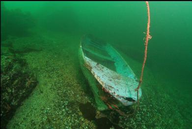 boat under dock