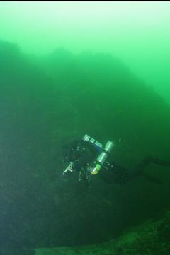SHALLOW END OF WALL