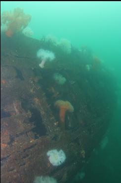 PORT SIDE OF HULL LOOKING AFT