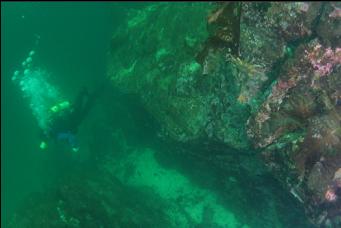 NEXT TO SHALLOW END OF WALL