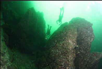 just past cloud sponge