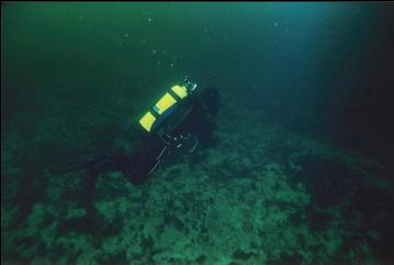 OVER SANDY BOTTOM