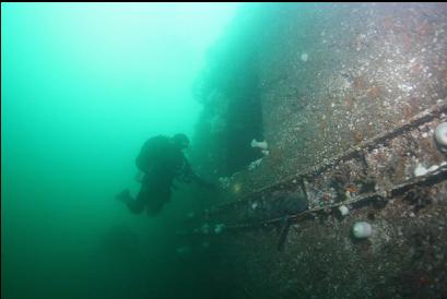 diver looking in access hole in side of hull