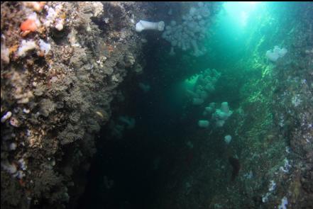 looking up in the cavern