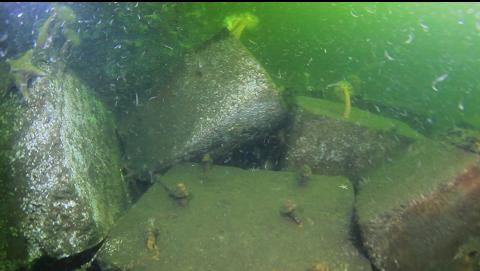 blocks next to the drydock