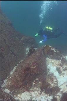 TOP OF WALL
