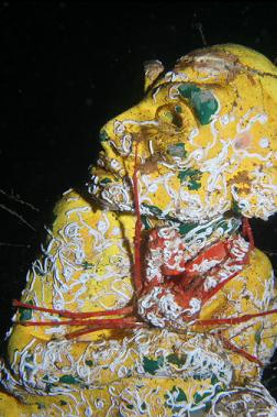 crab on creepy troll
