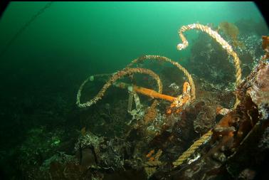 junk under docks