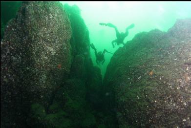 swimming between small pinacles