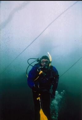 DIVER AND BULL KELP IN SHALLOWS