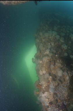 INSIDE CAVERN