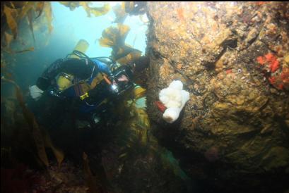 looking under overhanging boulder