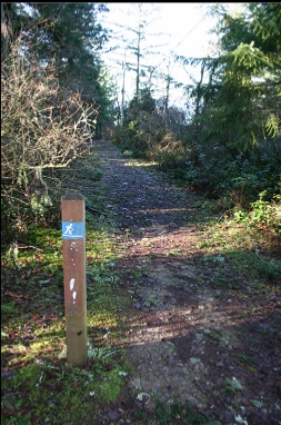 START OF TRAIL