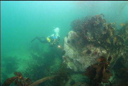 edge of reef