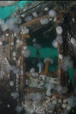 broken window in wheelhouse