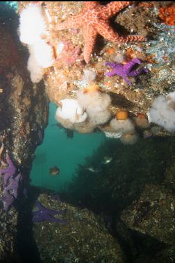 PILE OF BOULDERS IN SHALLOWS