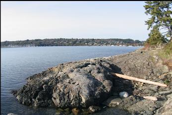 LOOKING ACROSS THE BAY