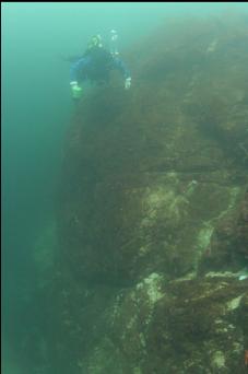 TOP OF WALL