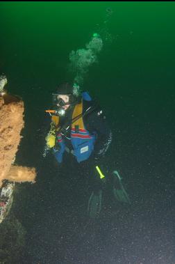 misaimed self-portrait with boot sponges