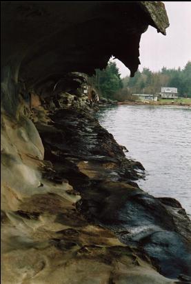 MALASPINA GALLERIES