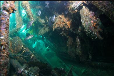 looking down port side of engine