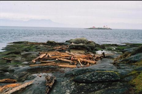 THE POINT AND ENTRANCE ISLAND