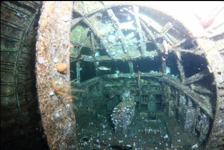 looking into the cockpit