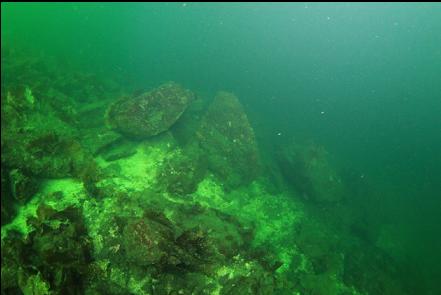 large boulders at the base of the island slope