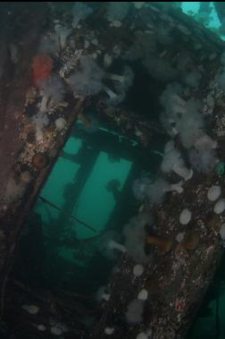 looking through door of wheelhouse