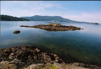 SMALL ISLAND AT LOW TIDE