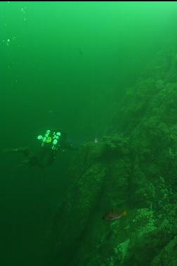 NEAR TOP OF WALL