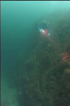 60-FEET DEEP PART OF WALL