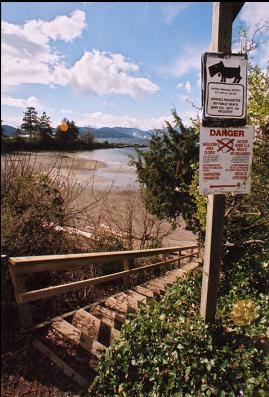 STEPS TO BEACH