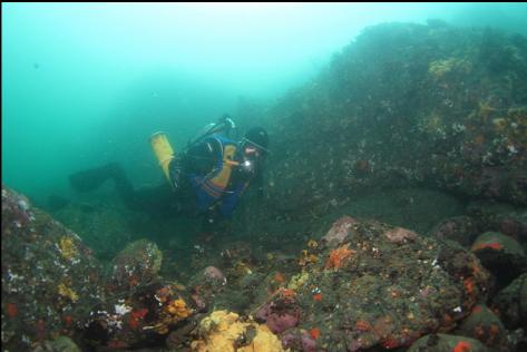 in the shallows at the tip of the point