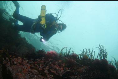 shallows in bay