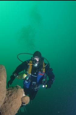 mis-aimed self-portrait with boot sponge