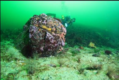 boulder 40 feet deep