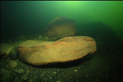 boulders at bottom of river