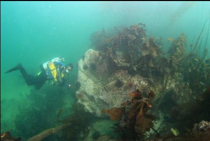 edge of reef