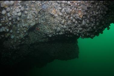 under mini galleries