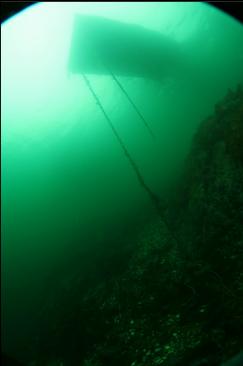 under dock