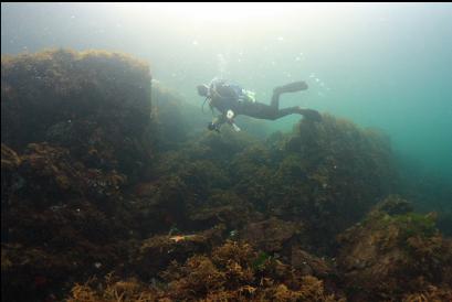 in shallows near entry-point