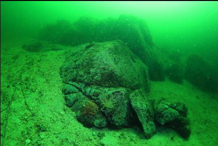 beginning of the shallower reef